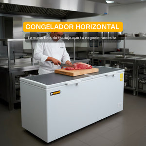 CONGELADOR HORIZONTAL CON TAPA DE ACERO INOXIDABLE 24FT MODELO CONGECO-24X MARCA RHINO