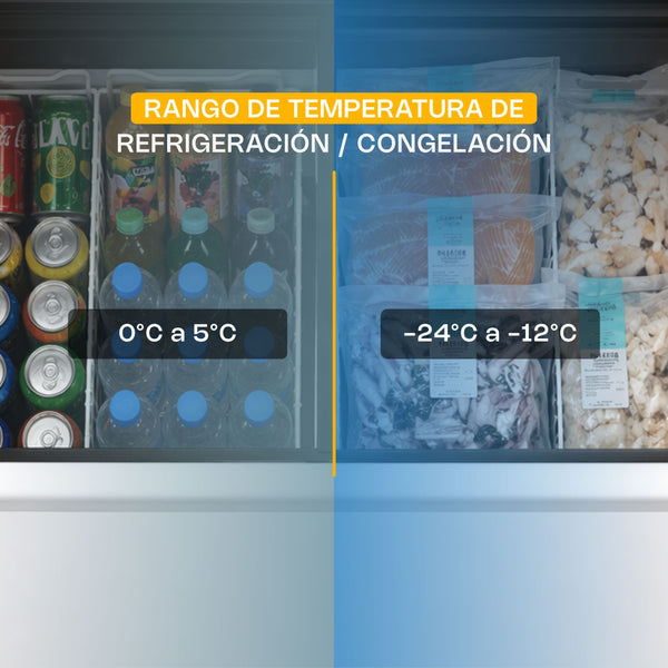 CONGELADOR PALETERO CURVO MODELO CONGECRI-10C MARCA RHINO