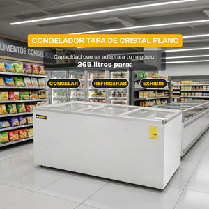 CONGELADOR PALETERO HORIZONTAL PLANO 12FT MODELO CONGECRI-12P MARCA RHINO